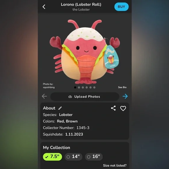 BNWT: 7.5” Lorono (Lobster Roll) Squishmallow - Picture 10 of 10